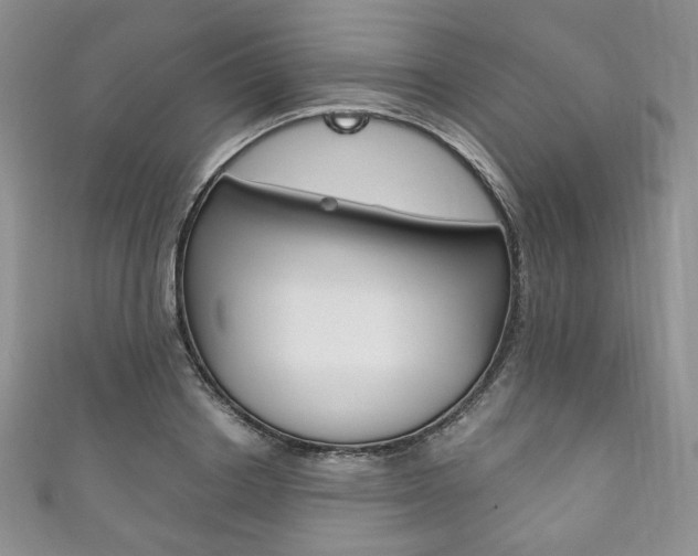 X0000111160842200906301056