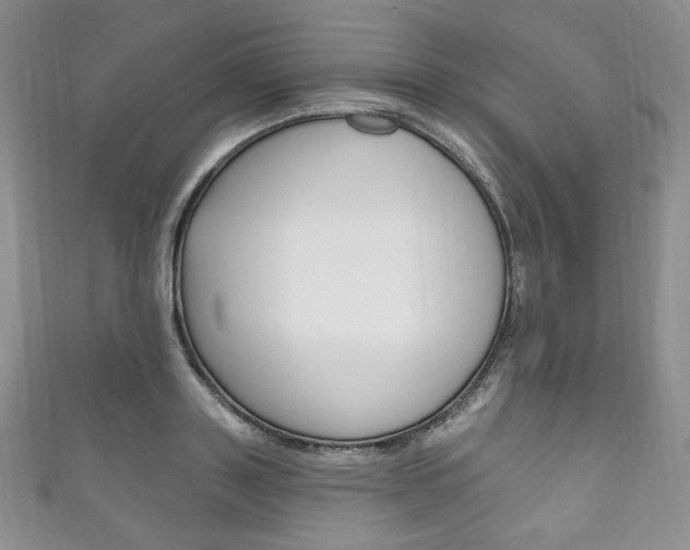 X0000111160843200906301056
