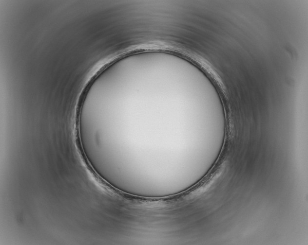 X0000111160845200906301056
