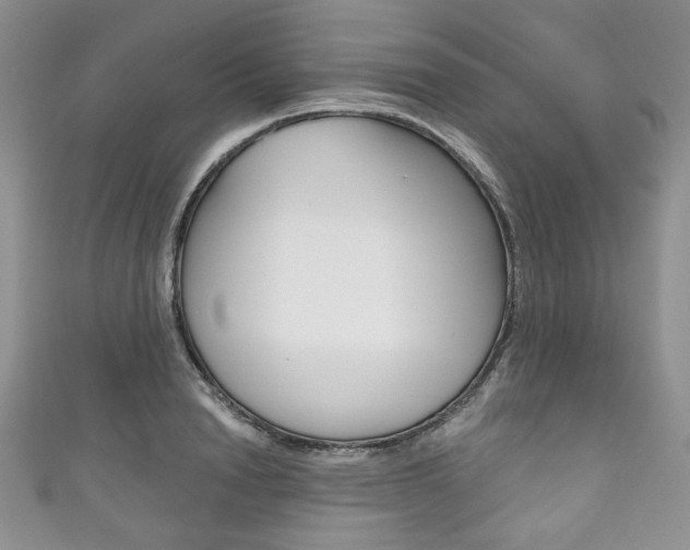X0000111160846200906301056
