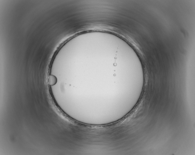 X0000111160848200906301056