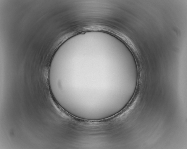 X0000111160849200906301056