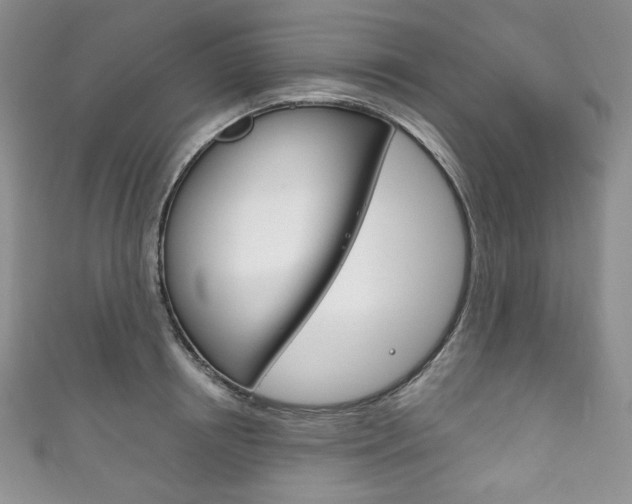 X0000111160850200906301056