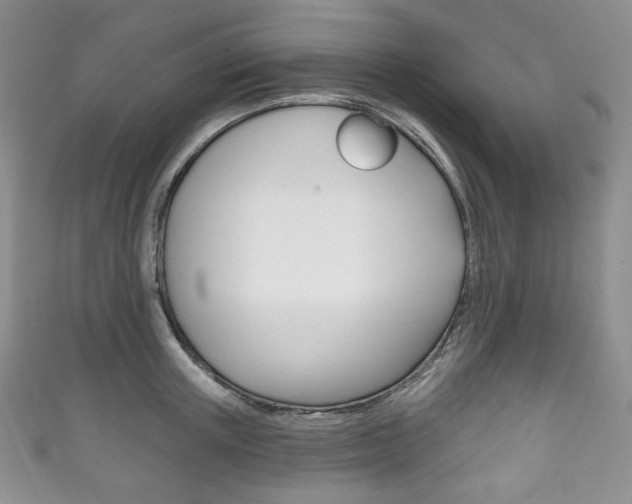 X0000111160851200906301056