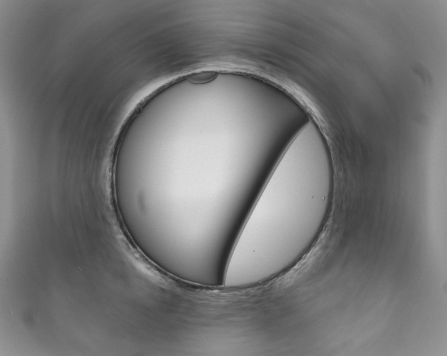 X0000111160854200906301056