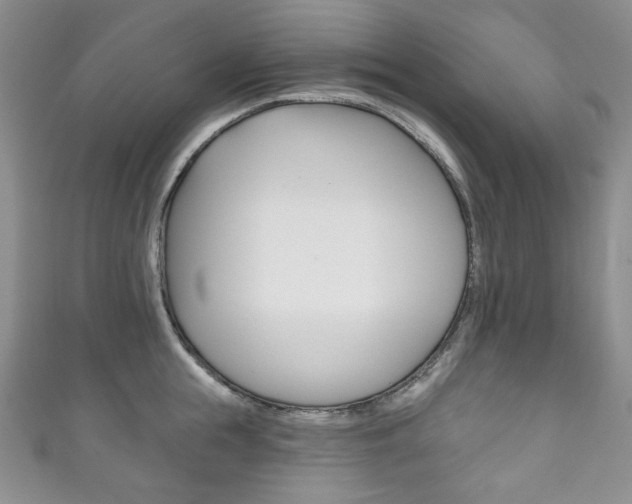 X0000111160855200906301056