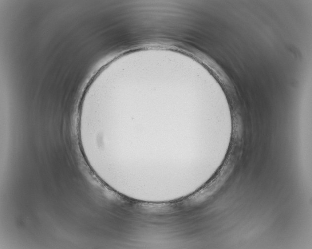 X0000111160856200906301056