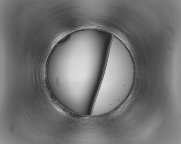 X0000111160858200906301056