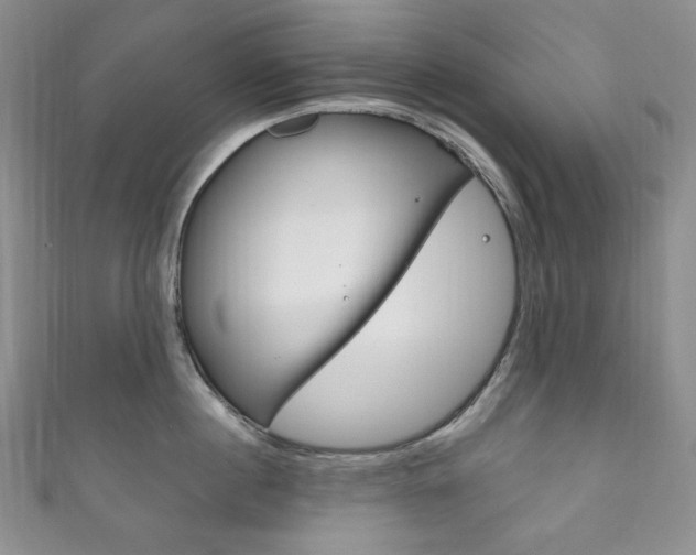 X0000111160860200906301057