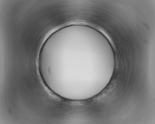 X0000111160861200906301057