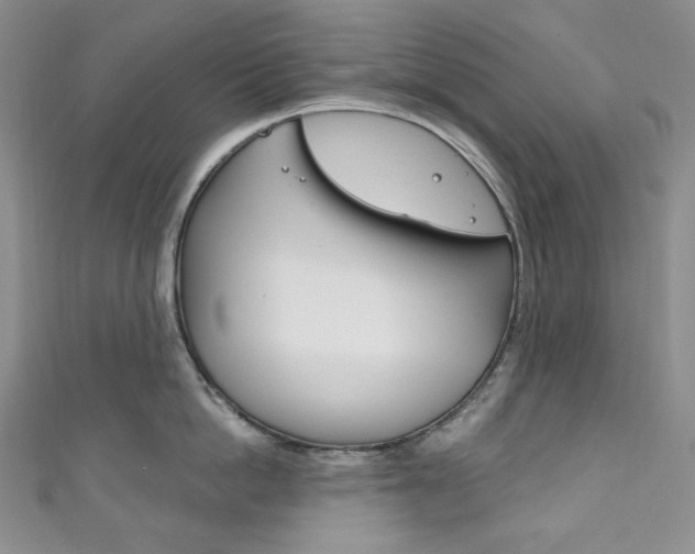 X0000111160862200906301057