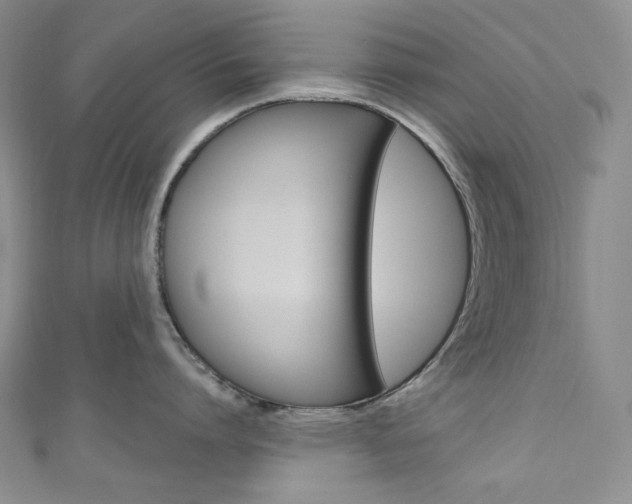 X0000111160864200906301057