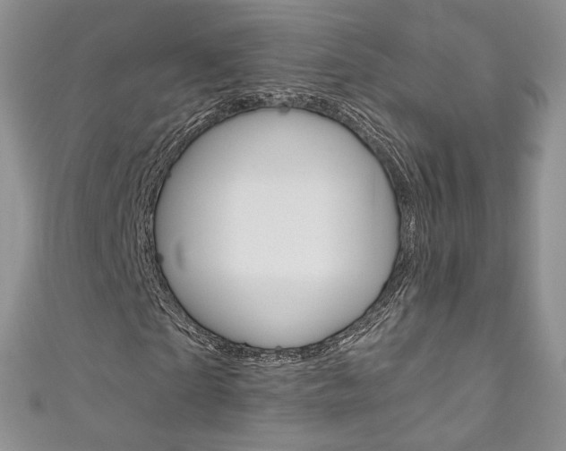 X0000111160865200906301056