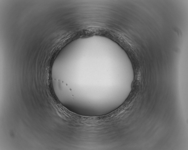 X0000111160868200906301056