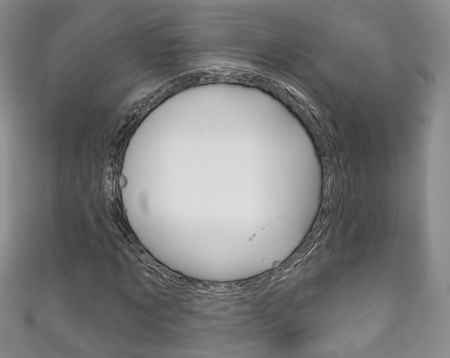 X0000111160869200906301056