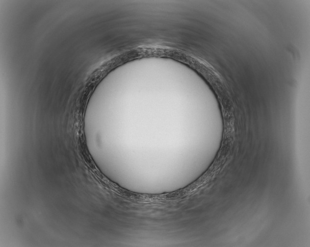 X0000111160870200906301056