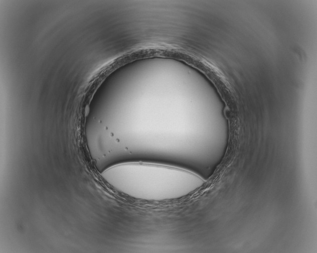 X0000111160872200906301056