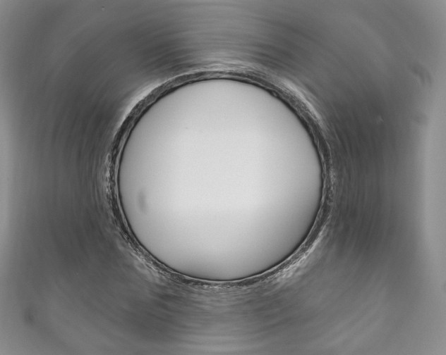 X0000111160875200906301056