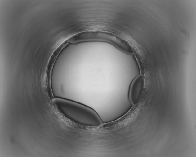 X0000111160876200906301056