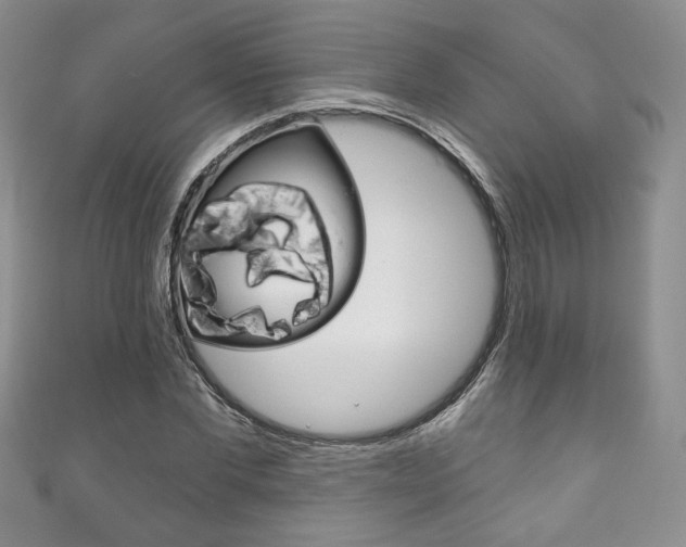 X0000111160877200906301056