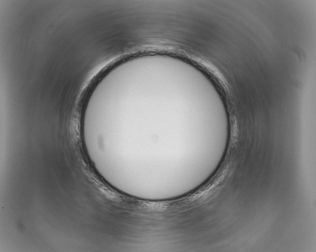 X0000111160878200906301056