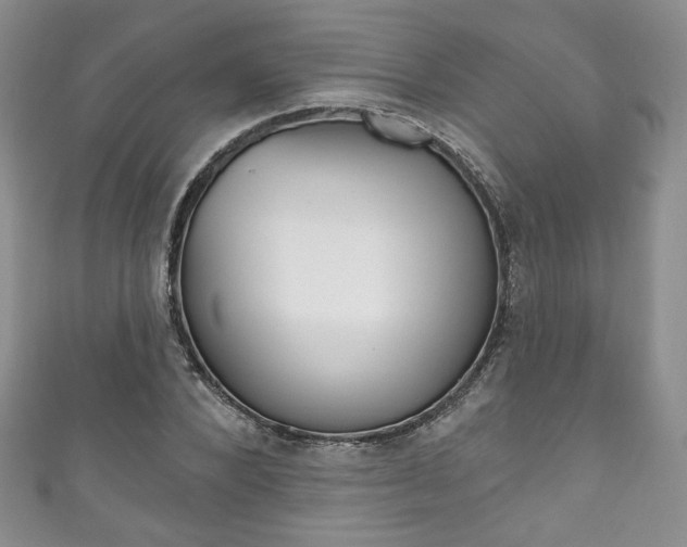 X0000111160880200906301056