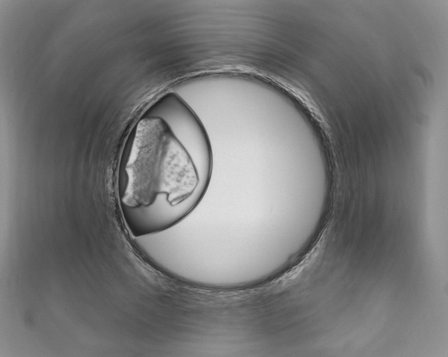 X0000111160881200906301056