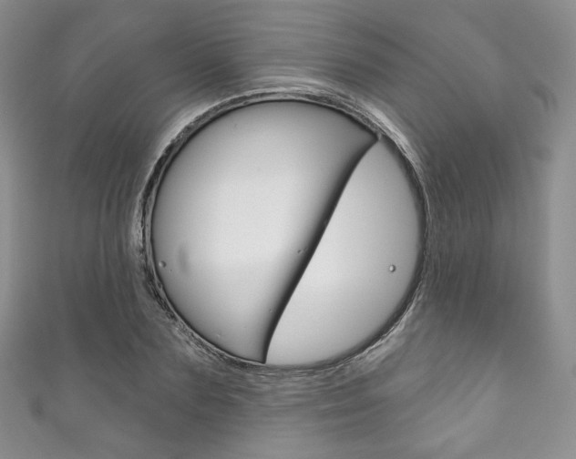 X0000111160883200906301056