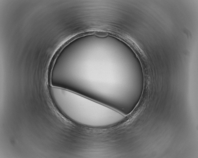 X0000111160884200906301056