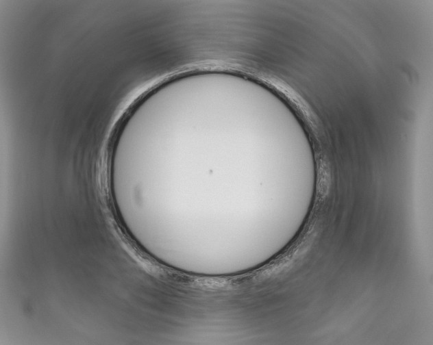 X0000111160886200906301056