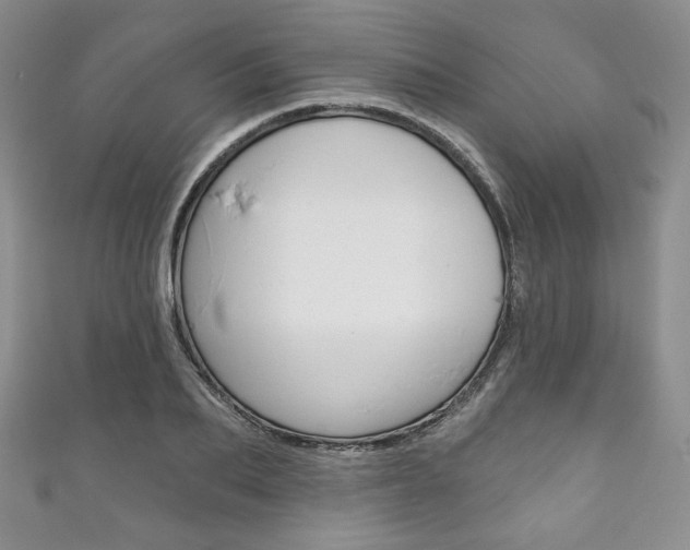 X0000111160887200906301056