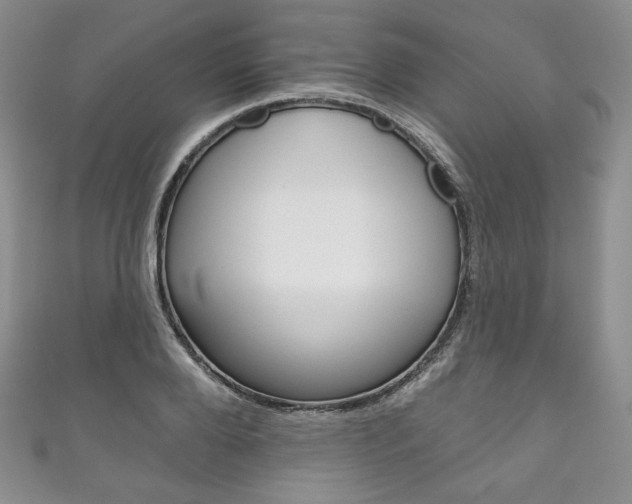 X0000111160888200906301056