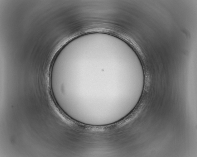 X0000111160890200906301056
