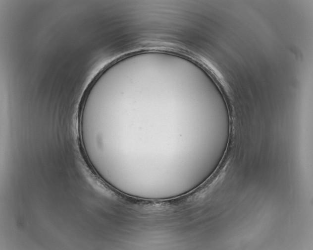X0000111160891200906301056