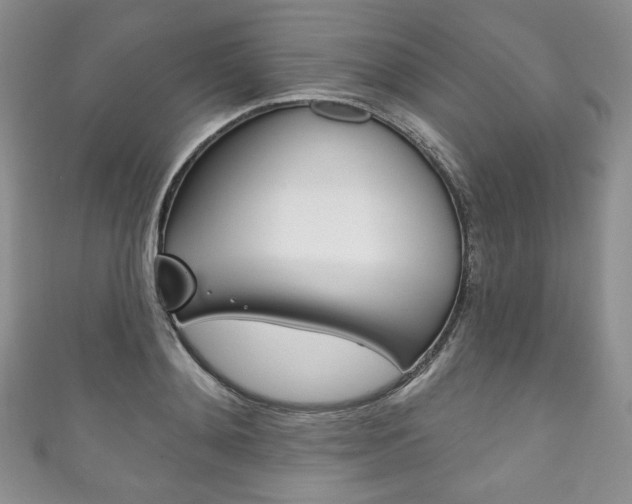 X0000111160892200906301056