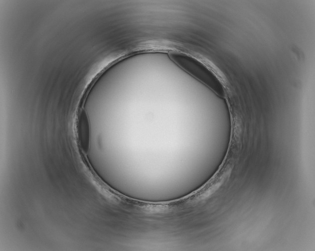 X0000111160893200906301056