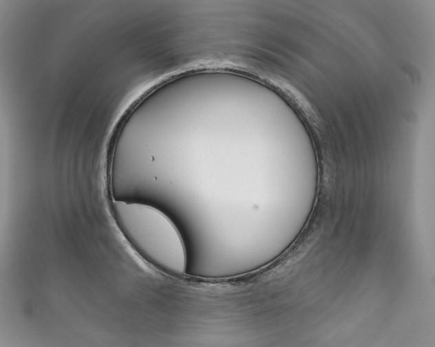 X0000111160894200906301056