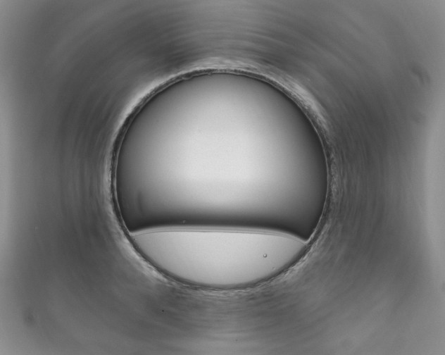 X0000111160896200906301056