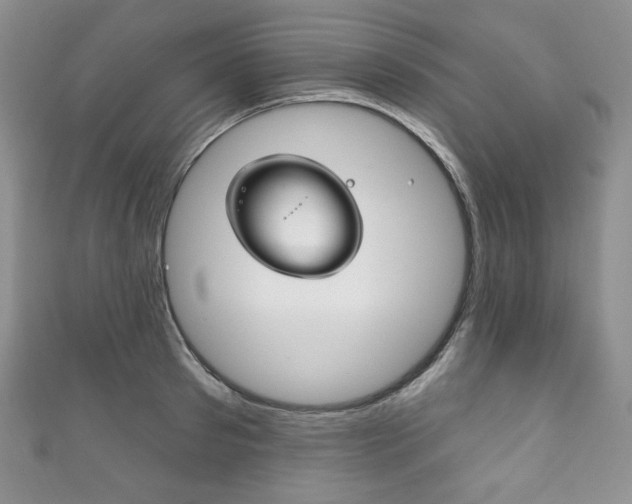 X0000111160897200906301056
