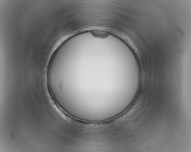 X0000111160898200906301056