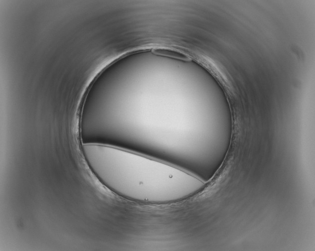 X0000111160900200906301055