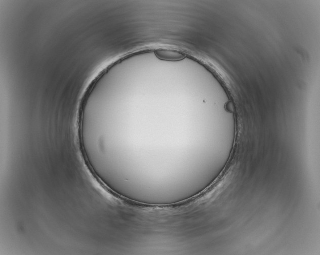 X0000111160902200906301055