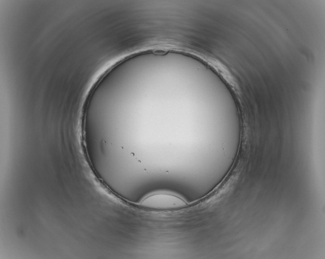 X0000111160904200906301055