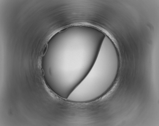 X0000111160905200906301055