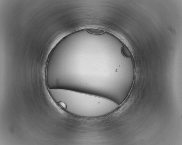 X0000111160906200906301055