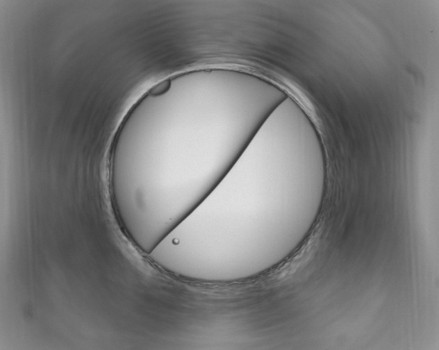 X0000111160907200906301055