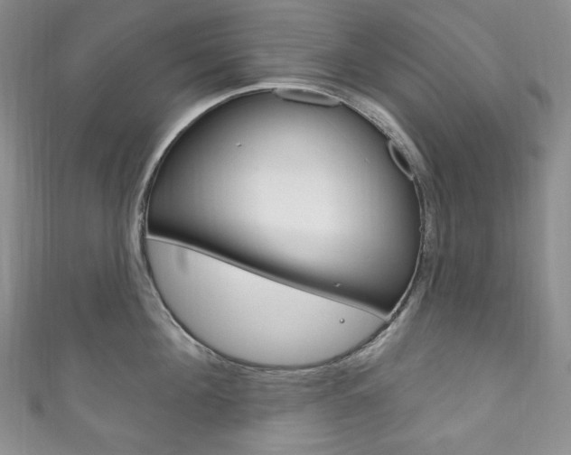 X0000111160908200906301055