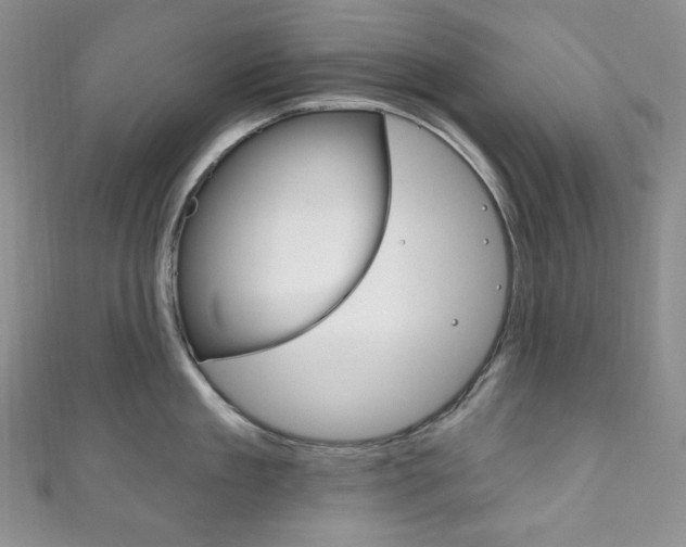 X0000111160909200906301055