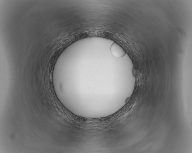 X0000111160913200906301055