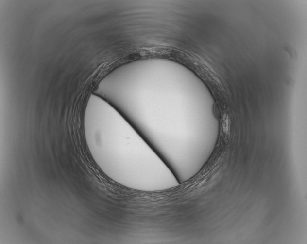 X0000111160915200906301055